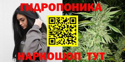 альфа пвп Владикавказ