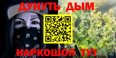 альфа пвп Владикавказ