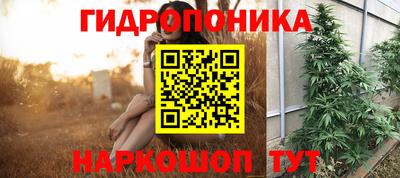 альфа пвп Владикавказ