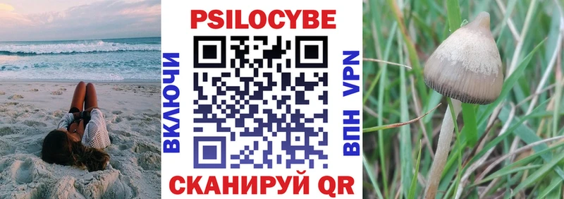 Псилоцибиновые грибы Psilocybe Белогорск