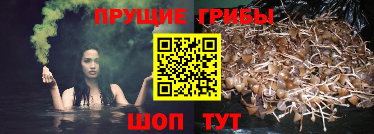 Псилоцибиновые грибы Magic Shrooms Белогорск